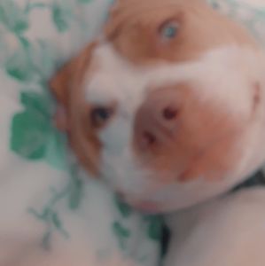 Meet your Posher, Jo